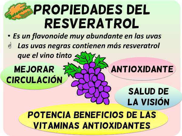RESVERATROL x 100 Cápsulas 💊 | Juventud y potencia pura 🔥